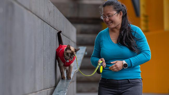 Cat owner Lee Geroyiannis takes her cat for a walk in Melbourne on a leash. Picture: Jason Edwards