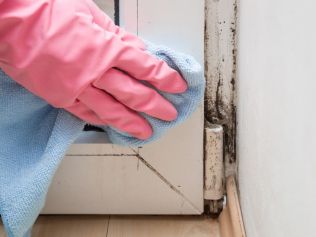 Keep an eye on areas where mould is likely to grow, such as bathrooms and laundry rooms, so you can get rid of the mould spores quickly. Picture: iStock/FotoDuets.