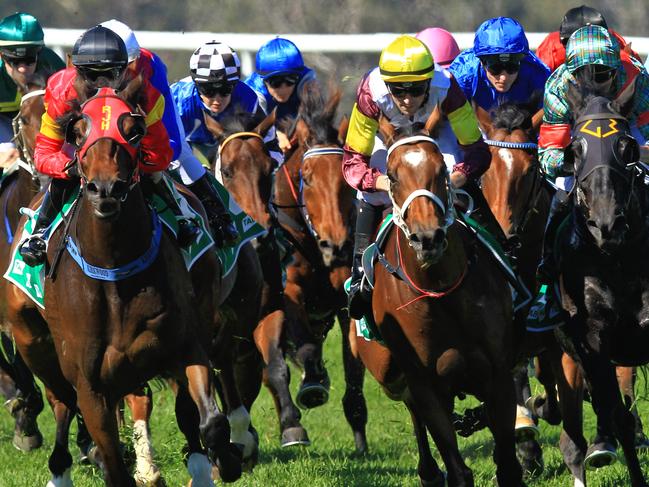 Loving home ridden by Tye Angland  (yellow cap, maroon with yellow armbands) wins race 1 during Scone  Races located in the Upper Hunter Region of NSW. The Bend . Pic Jenny Evans