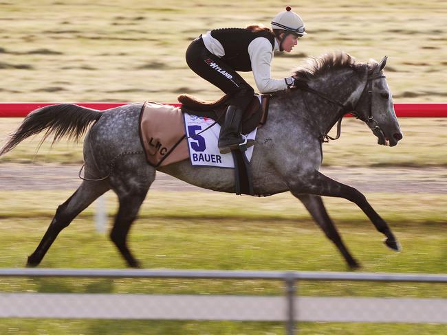 Cumani takes Bauer for a spin.