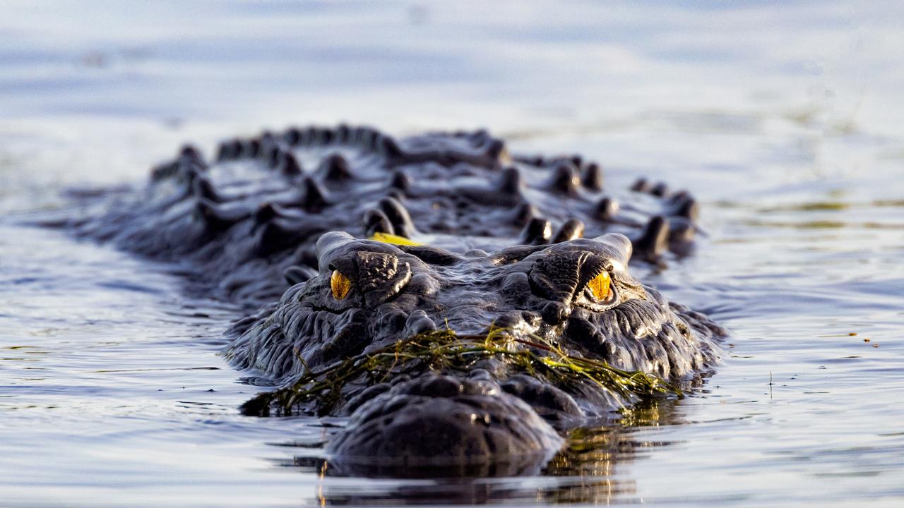 Reported crocodile sighting numbers are on the rise in Australia’s north. Picture: Tourism NT