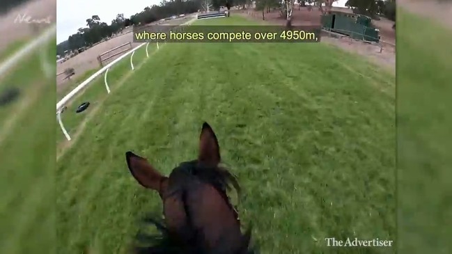 Oakbank Steeplechase Jockey's Perspective