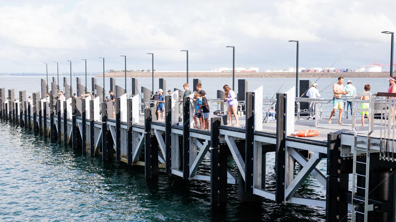 The wharves cost $78m to build, and will now cost a further half a million to maintain every year. Picture: Chris Huang / Matrix