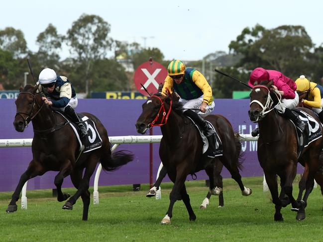 SYDNEY, AUSTRALIA - MARCH 22: Tommy Berry riding Gringotts   win Race 7 The Agency George Ryder Stakes during the "TAB Golden Slipper" - Sydney Racing at Rosehill Gardens on March 22, 2025 in Sydney, Australia. (Photo by Jeremy Ng/Getty Images)