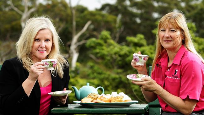 Manly Hospital where Tracy Bevan (R) promoting high teas for the McGrath foundation with McGrath clinical nurse consultant Elaine Arnold.