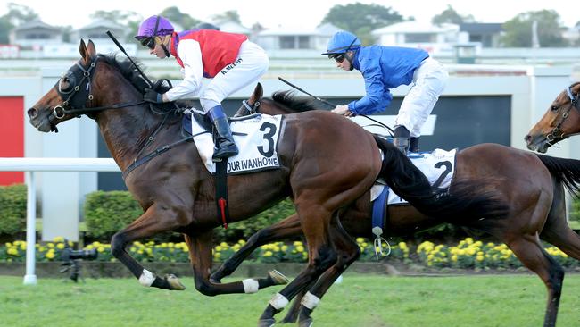 Our Ivanhowe will be Lee Freedman’s leading contender for Cup glory this year. Picture: Mark Cranitch