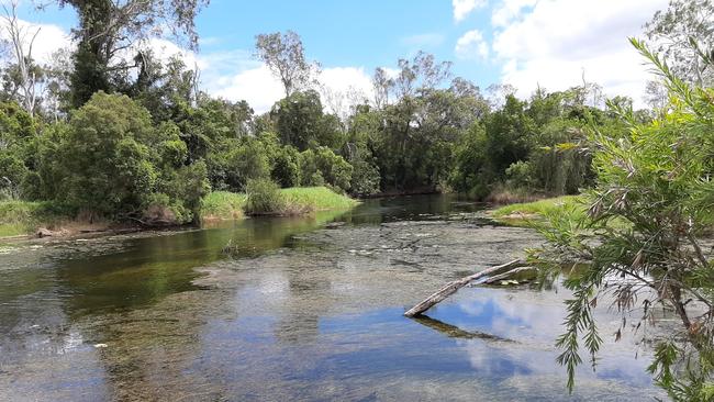 Can a tree be haunted? According to Bundaberg locals – it can.