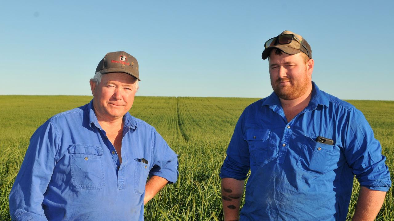 Ouyen farmer shares stockyard design tips