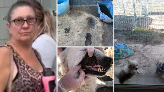 Lockyer Valley-based dog breeder Elizabeth Alice Verhagen was convicted in 2023Â of animal abuse offences involving her keeping a number of dogs in unclean and faeces-riddled pens.
