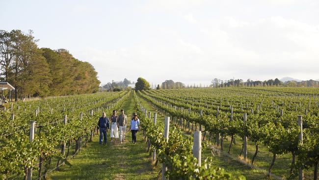 A couple enjoying a wine to table experience with winemakers Nicole Samodol and James Manny of Rowlee Wines, Nashdale.