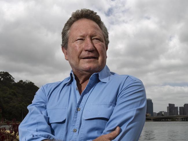 Andrew Forrest pictured along Swan River, Perth WA. Forrest has written a letter to Facebook CEO Mark Zuckerberg criticising his lack of action over fake ads.PHOTO: MARIE NIRME