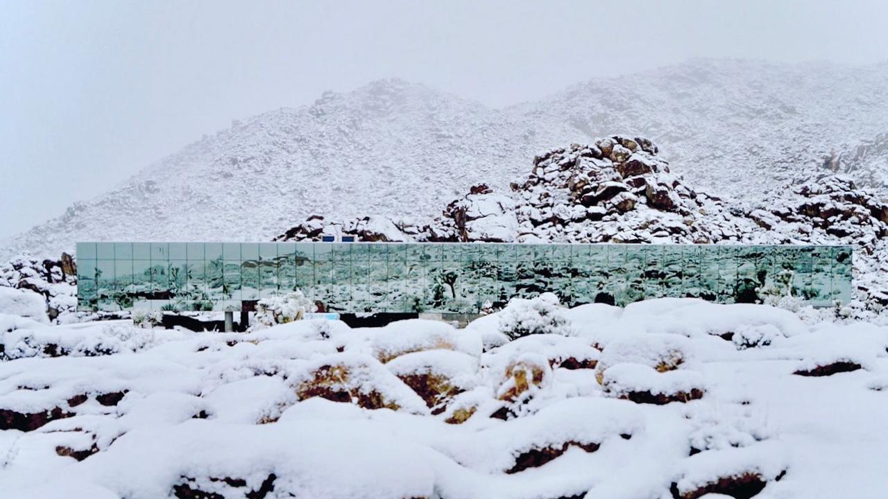 Even hidden among the snowfall. Picture: Chris Hanley via TopTenRealEstateDeals