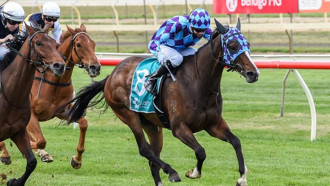 Princess Jenni cruising to victory in the Bendigo Cup. Picture: Racing Photos