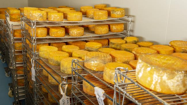 Growth in cheese sales has been particularly impressive during the past year. Picture: Zoe Phillips