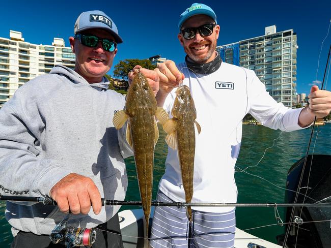 This brace of flatties climbed all over lures cast across a Sydney Harbour sandflat under clear blue skies. Picture: Al McGlashan