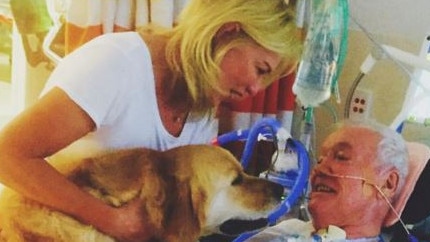 As John recovered in hospital. Kerri-Anne spent hours there daily, and brought their beloved dog, Digger, in to lift his spirits. Picture: Instagram