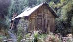 Fraser Creek Hut. West Coast. Pic Terry Reid