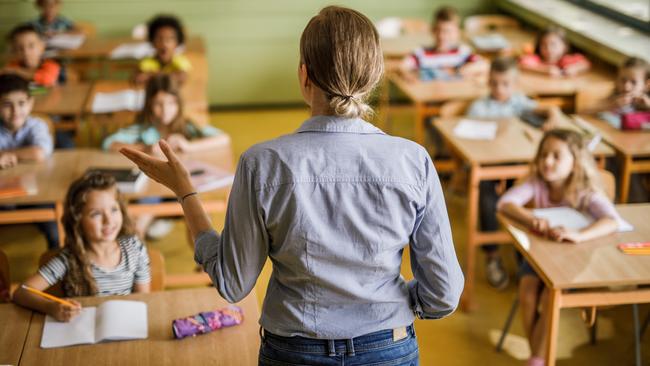 Teachers should be given the same type of on-the-job professional training as doctors and nurses, NSW Education Minister Sarah Mitchell says. ​