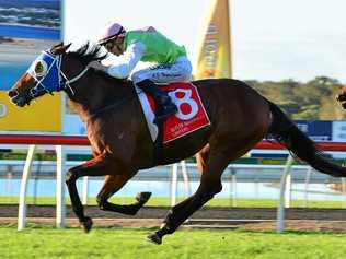 FAST: Adam Hyeronimus steers Monsieur Gustave to first place in the Glasshouse Handicap. Picture: John McCutcheon