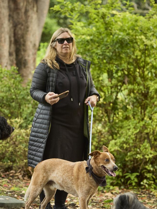 Million Paws Walk at Adelaide Botanic Gardens. Picture: Matt Loxton