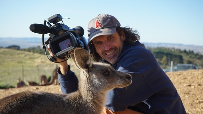 Kangaroo: A Love Hate Story with independent documentary maker Mick McIntyre.