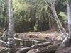Iconic Far North cattle station to be handed back to traditional owners