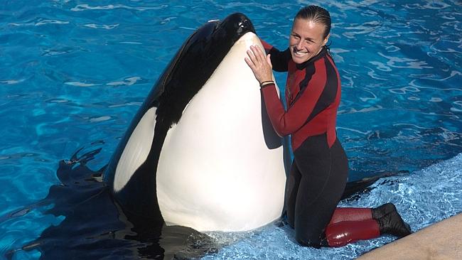  Whale trainer Dawn Brancheau is shown performing at SeaWorld Adventure Park in Florida, 2005. 