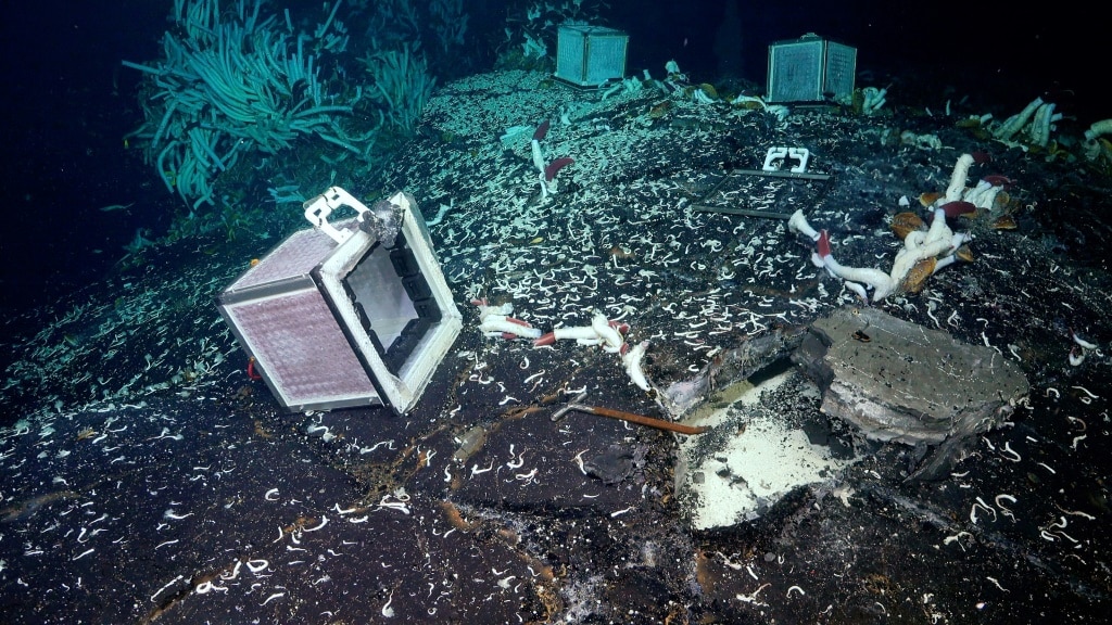 Worms and snails handle the pressure 2,500m below the Pacific surface