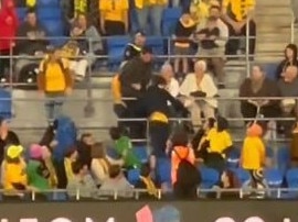 Video shows pitch invader's escape halted by fellow spectator