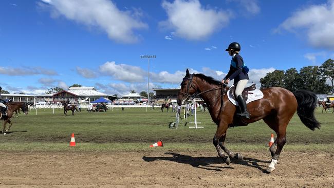 Horses the Gympie Show 2025 equestrian.
