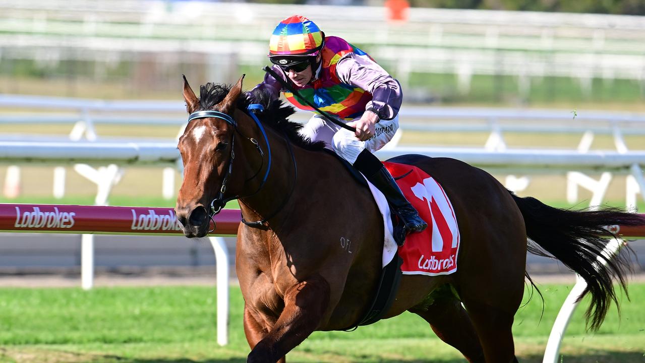 Supplied Editorial Tiger Shark dashes away to win the QTIS 3YO Handicap at Doomben under  Damien Thornton. Picture: Grant Peters - Trackside Photography