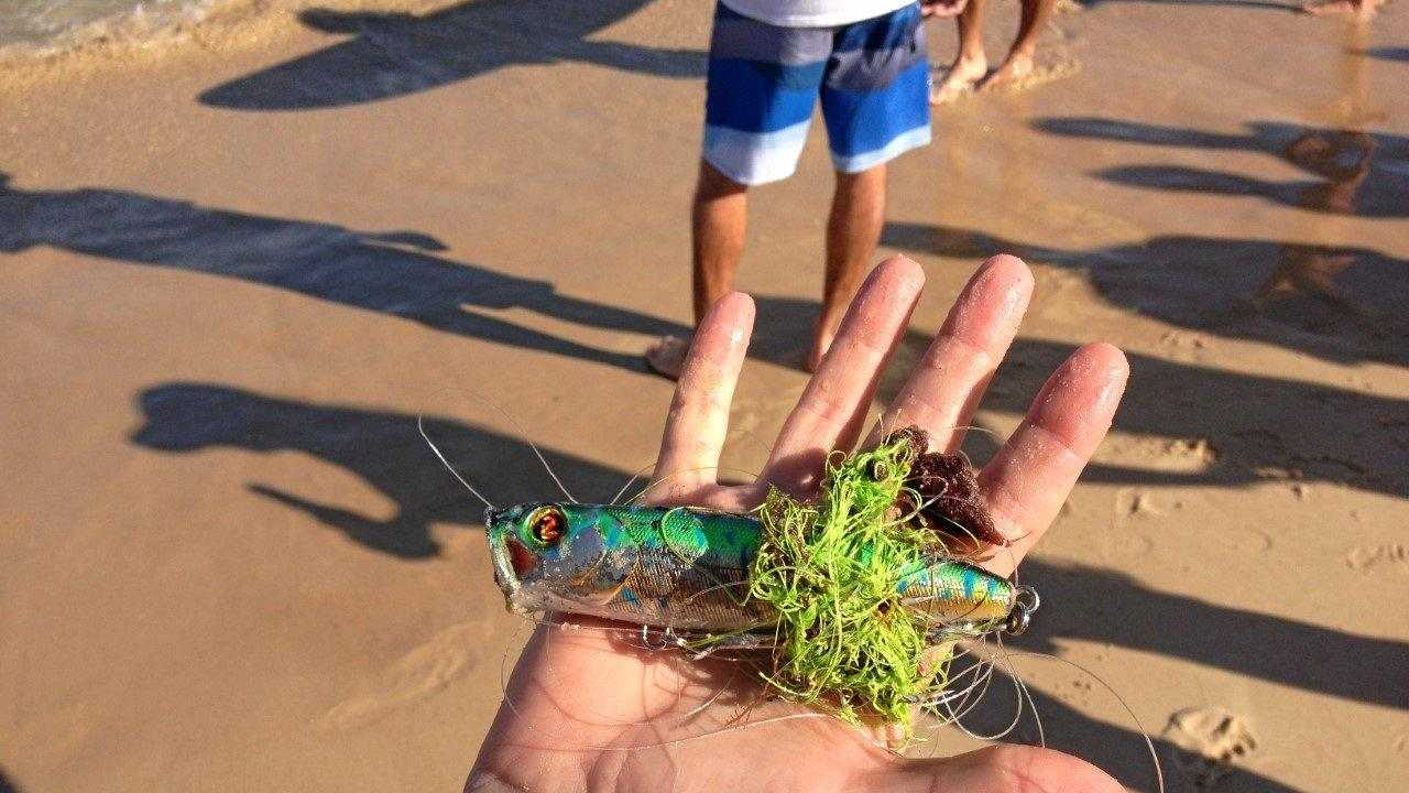 Surfers free turtle hopelessly trapped in fishing line