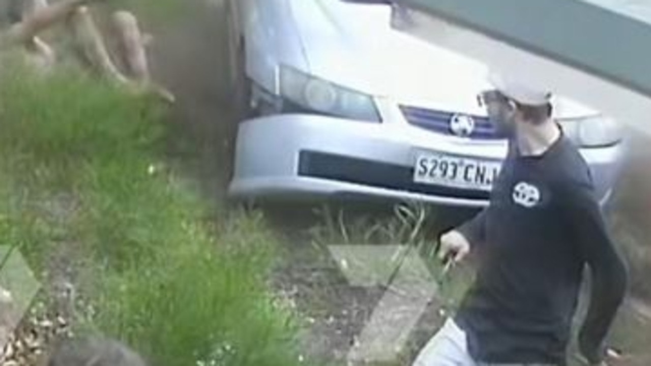 Men v car: Wild brawl erupts in suburban front yard