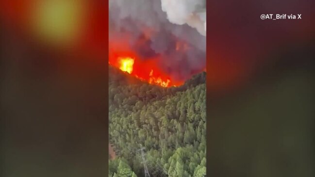 Wildfires rip through Spain’s Tenerife