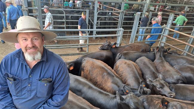 Dave Mackrell, Burnside at Strathbogie, was one of just two vendors to receive a premium for heifer weaners at Euroa today. His pen of 25 calves, tops of the drop with none retained, sold for $1110 to make 310c/kg after two buyers had a bidding duel. Most heifer weaners at Euroa made from 220c/kg to 250c/kg or $600 to $850.