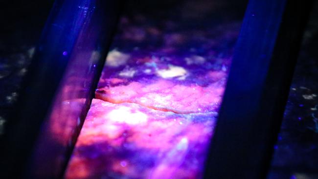 Core samples of Lithium under UV light at the official opening of the Finniss Lithium mine Picture: Glenn Campbell