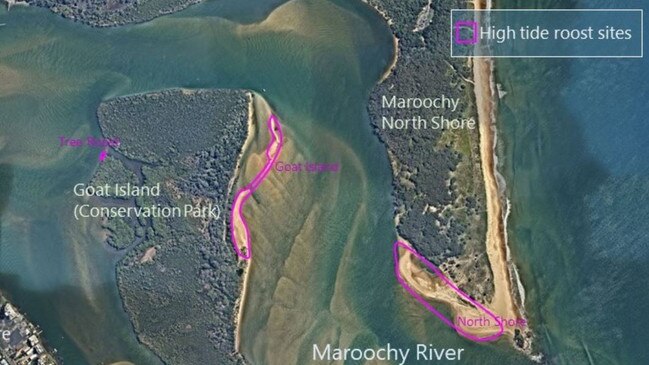 Maroochy North Shore zoned as high tide roost site for shorebirds.