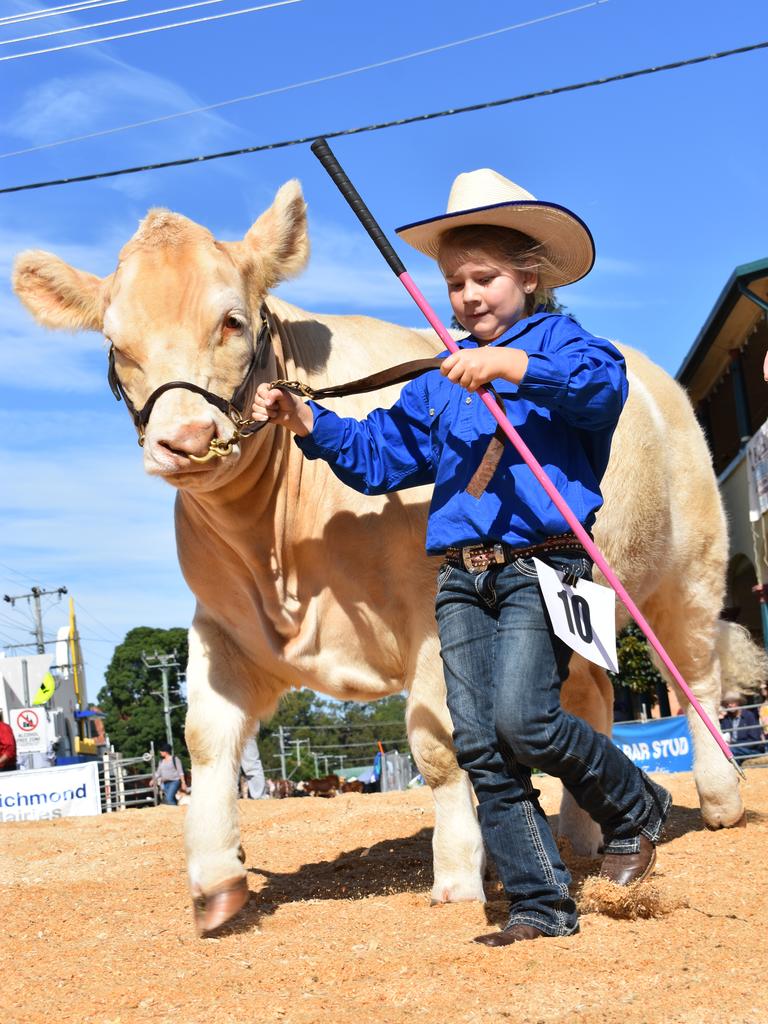 Beef Week cattle ring 2019.