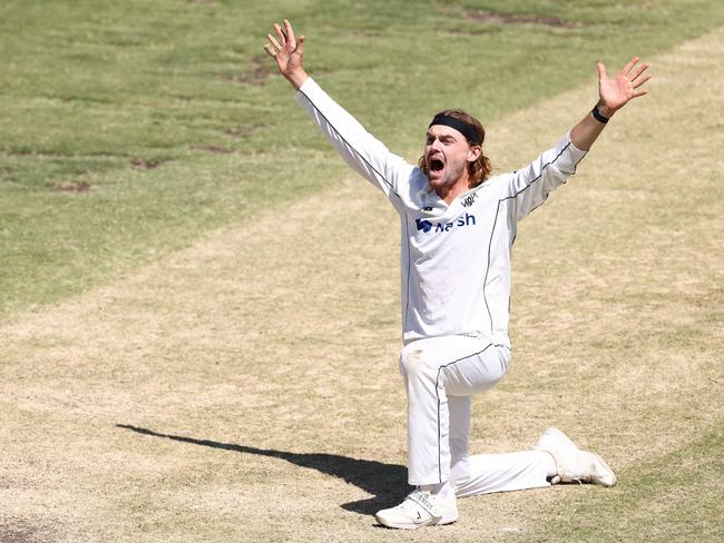 Corey Rocchiccioli is one of the most prolific wicket-takers in Shield cricket. Picture: Getty