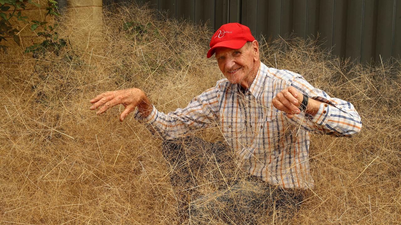 John Anderson sits in the thickets of hairy panic. Picture: Alison Wynd