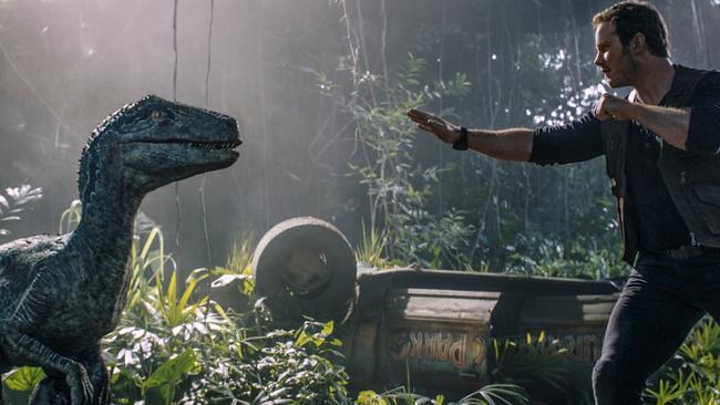 Chris Pratt is reunited with velociraptor Blue in Jurassic World: Fallen Kingdom.