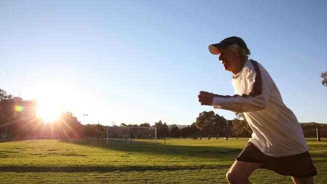 The southern parklands will remain alcohol free. Picture: Stephen Laffer