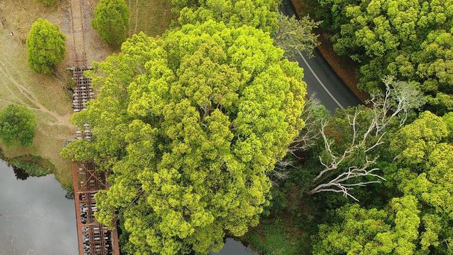 An aerial drone photograph of one of the bridges along the Tweed section of the rail corridor. Picture: Tweed Shire Council