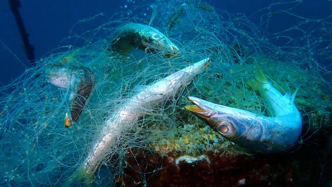 Fishing nets abandoned in the ocean cause untold damage.