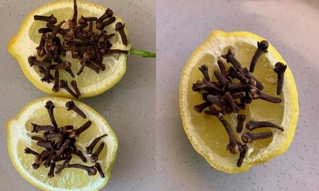 Mum’s cheap hack to get rid of bugs this summer flies
