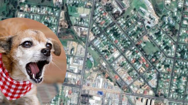 Barking dogs have been the subject of 191 complaints to the South Burnett Council in the past year.