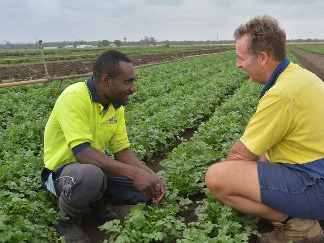 More seasonal workers from overseas will finally be allowed into Victoria, under a new scheme announced last week.