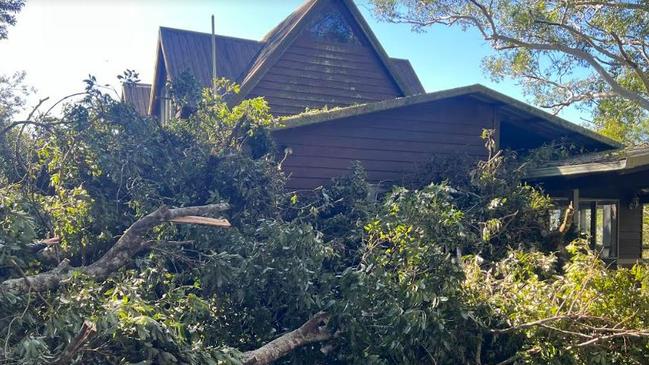 Strong wind brought a tree down onto a house at Upper Orara. Picture: Coffs Harbour SES