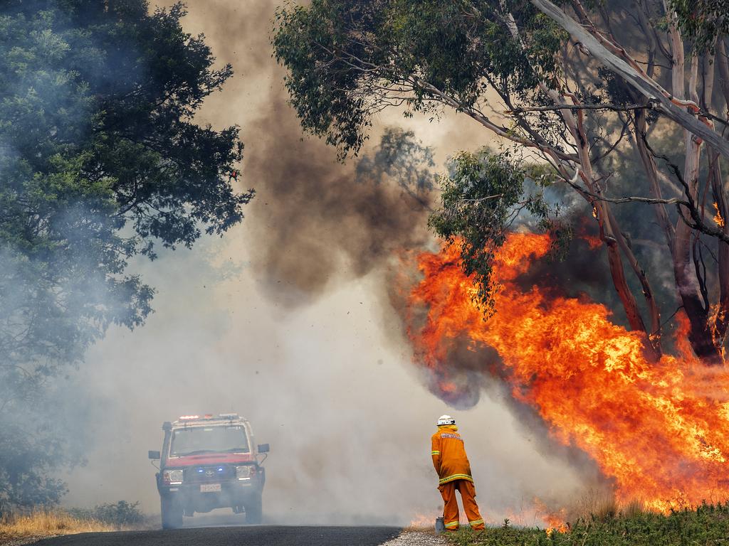 St Marys TFS Volunteer during back burning operations at Fingal. PICTURE CHRIS KIDD