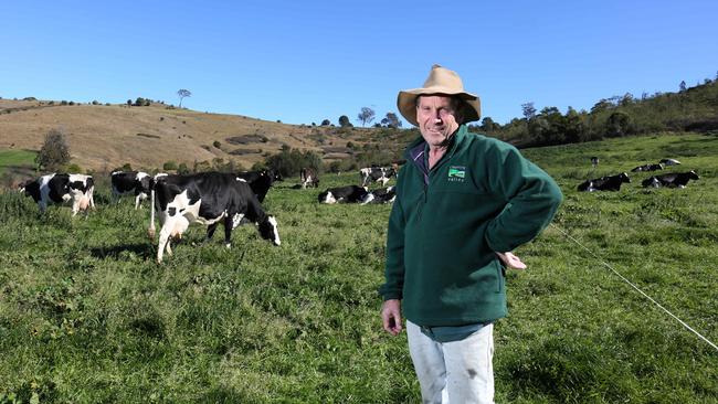 Sixth generation dairy farmer John Fairley on his Picton farm. Picture: Robert Pozo